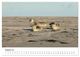Thumbnail-13