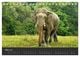 Thumbnail-8