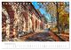 Thumbnail-14