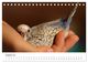 Thumbnail-10