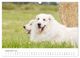 Thumbnail-14