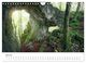 Thumbnail-12