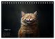 Thumbnail-9