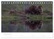 Thumbnail-14