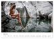 Thumbnail-10