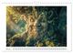 Thumbnail-8