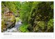 Thumbnail-11