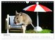 Thumbnail-12
