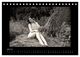 Thumbnail-12
