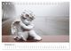 Thumbnail-12