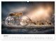 Thumbnail-11