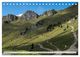Thumbnail-11