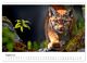 Thumbnail-9