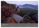 Thumbnail-11