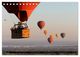 Thumbnail-8