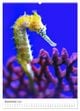 Thumbnail-14