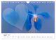 Thumbnail-13