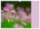 Thumbnail-10