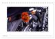 Thumbnail-12