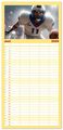 Thumbnail-11