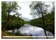 Thumbnail-12