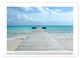 Thumbnail-14
