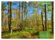 Thumbnail-7