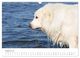 Thumbnail-13