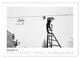 Thumbnail-14
