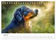 Thumbnail-11
