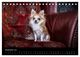 Thumbnail-14