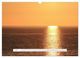 Thumbnail-11