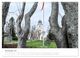 Thumbnail-11
