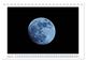 Thumbnail-10