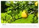 Thumbnail-10