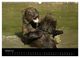Thumbnail-10
