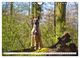 Thumbnail-10