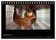 Thumbnail-14