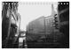 Thumbnail-11