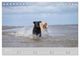 Thumbnail-11