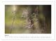 Thumbnail-11