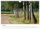 Thumbnail-12