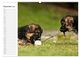 Thumbnail-14