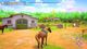 Thumbnail-8