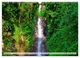 Thumbnail-13