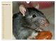 Thumbnail-14