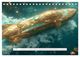 Thumbnail-11
