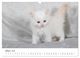Thumbnail-12