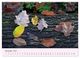 Thumbnail-12