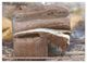 Thumbnail-9
